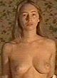 Isild Le Besco nude
