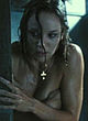Sarah Wayne Callies nude