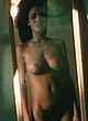 Nicole Ari Parker nude