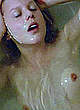 Abbie Cornish nude